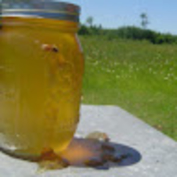 hallfarmhoney